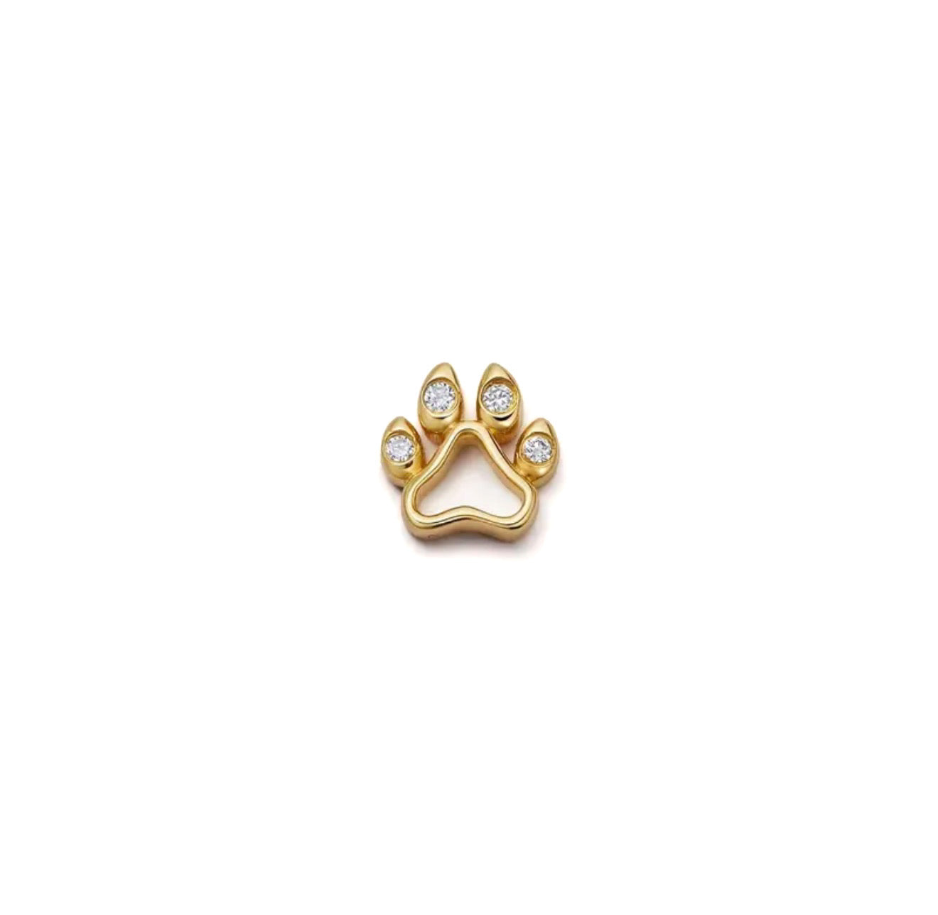Paw print