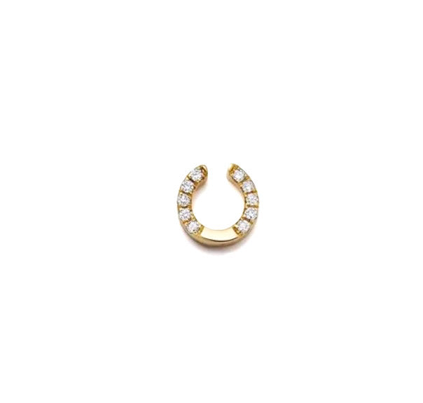 Horse shoe